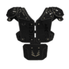 shoulder vicis skill