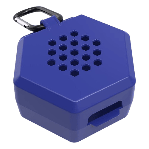 case showtime azul